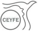 CEYFE Centro de Estudios y Formación para la Excelencia